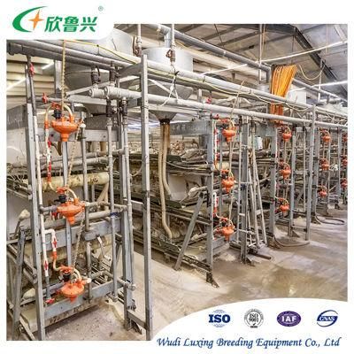 Poultry Equipment Battery Farming Drinker Chicken Nipple Drinking Line System