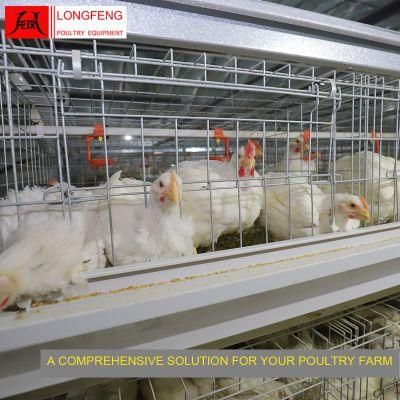 Comprehensive Solution for Poultry Farm Local After-Sale Service in Asia Broiler Cage