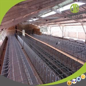 Hot Sale Livestock Pig Gestation Pen / Individual Stall Using in Pig Farming and Pig House