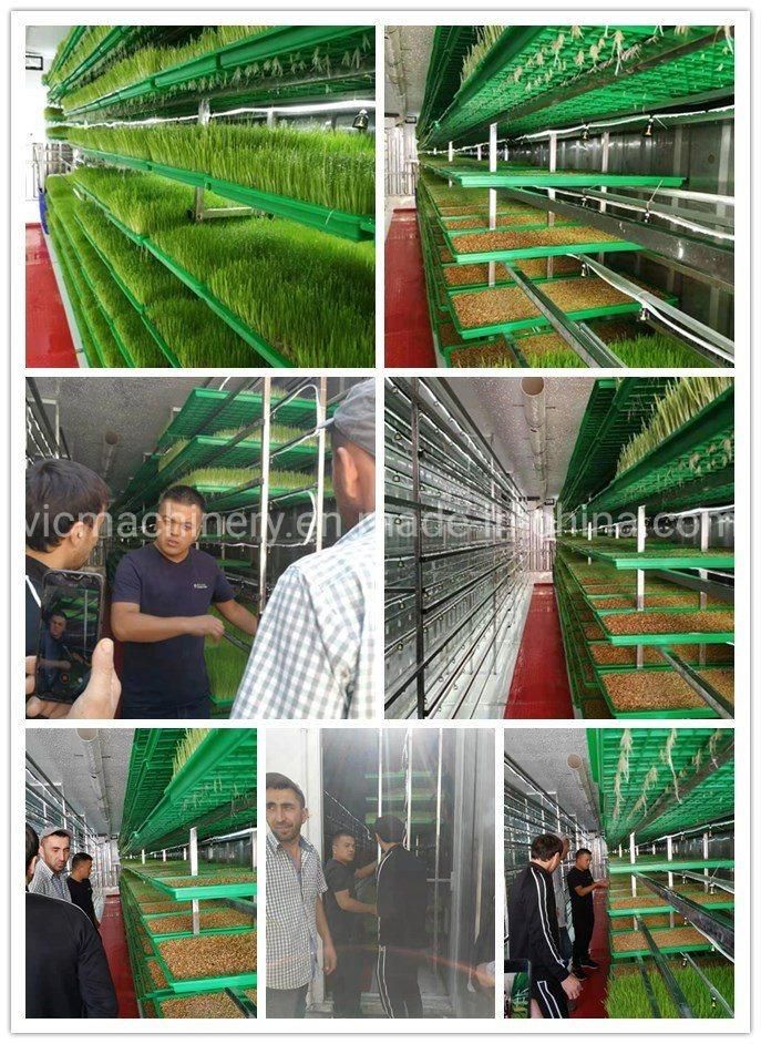 Commercial Hydroponic Sprout Equipment Sprouting Seeds HP-1500H