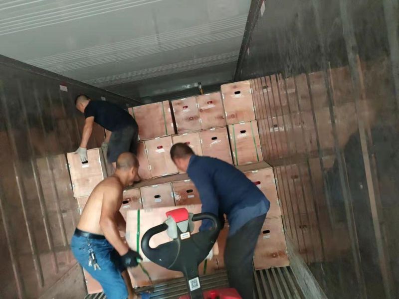 100kg 150kg 200kg 300kg 400kg Per Hour Production Poultry Feed Pellet Maker Chicken Feed Pellet Machine Animal Feed Granulator