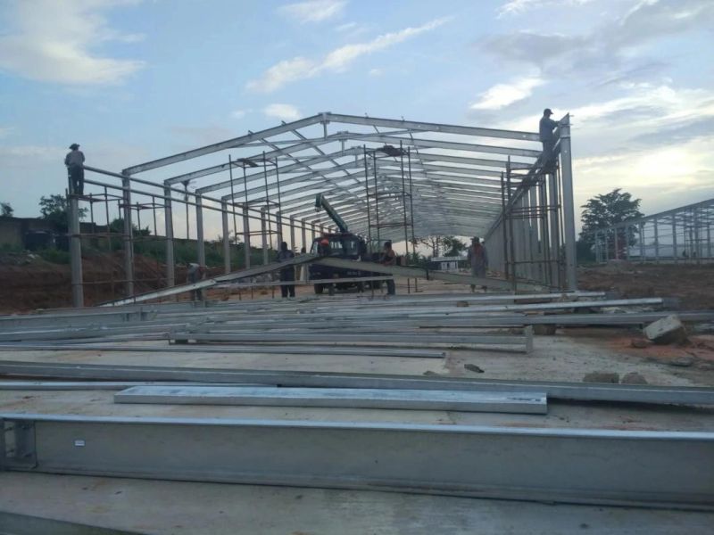High-Quality Factory Price Steel Structure Chicken Coop