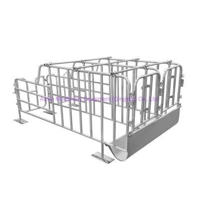 Sow Insemination Crate Livestock Piggery Machinery for Sale