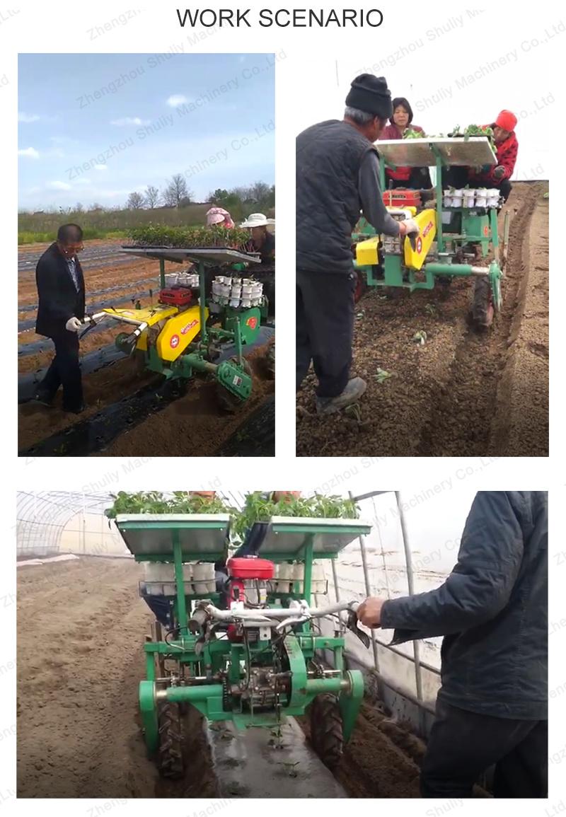 Hot Selling Seeders & Transplanters Vegetable Seedlings Transplanter