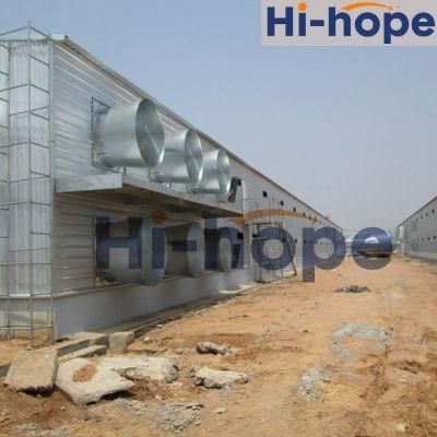 Poultry Farm Design with Equipment and House Supplier