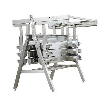 Poultry Equipment for Poultry Slaughterhouse