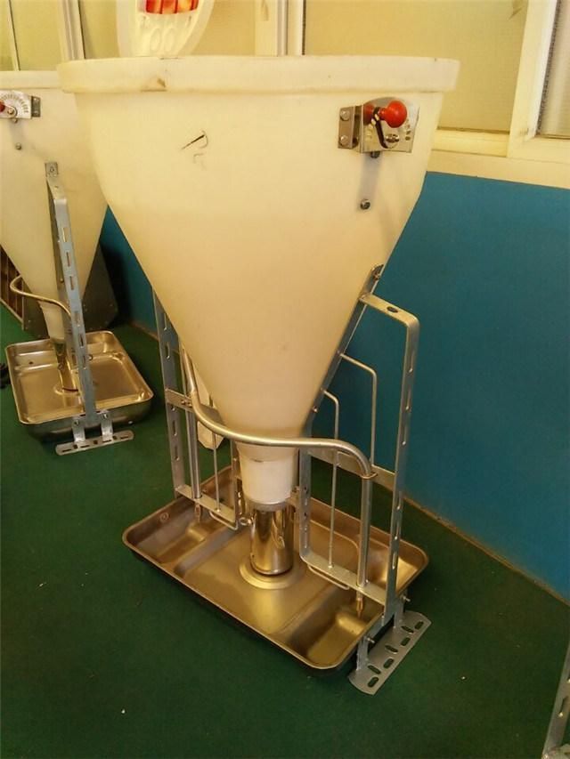 Hot Sale Automatic Feeder Pig Used Dry and Wet Pig Feeder for Sale