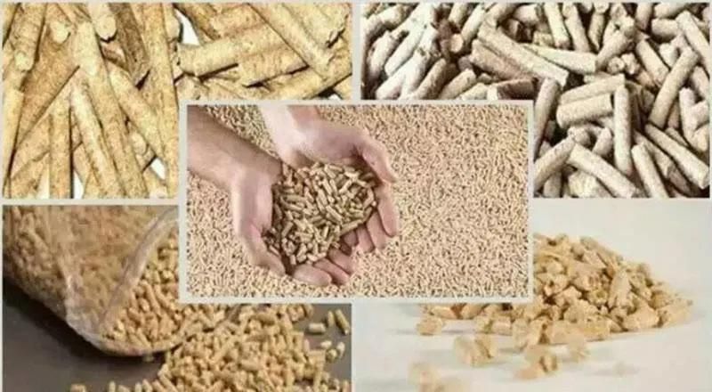 Family Use Feed Pellet Machine/Feed Machine/Feed Mill /Feed Pellet Press/Feed Pelletizer with Low Cost and High Output