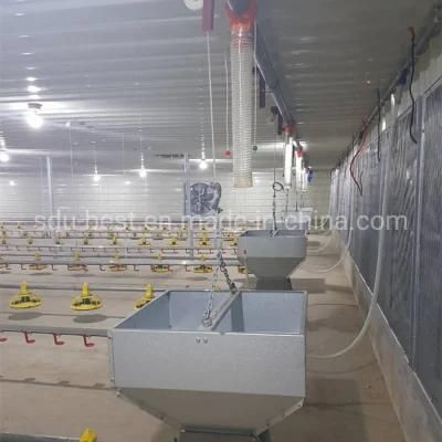 Broiler Floor Raising Equipment Suppliers Automatic Chicken Feeding System