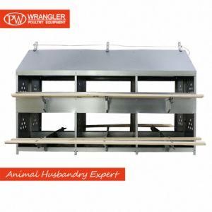 Poultry Farm Equipment Automatic and Manual Chicken Laying Hen Egg Nest