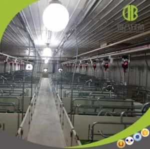 Pig Equipment Galvanized Pig Farrowing Crate for Sow and Piglet