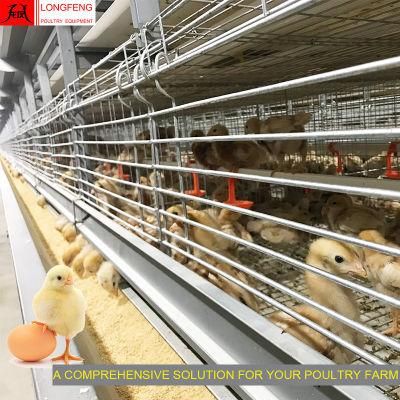 Comprehensive Solution Dosing Medicine and Spray Disinfection Hot Galvanized Computerized Layer Cage Manufacture