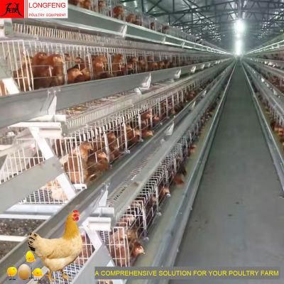 High Quality China New Longfeng Layer Cages Chicken Equipment Poultry Farm Cage