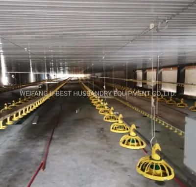 Commercial Automatic Chicken Poultry Shed Equipment