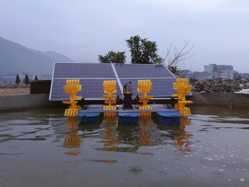 New Solar Paddle Wheel Aerator