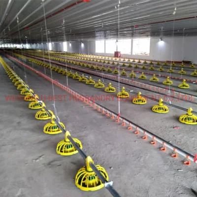 Complete Automatic Chicken House Equipment for Poultry and Broiler Farm Shed