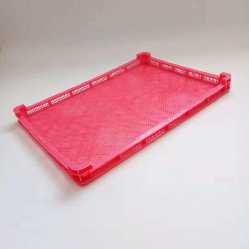 Frozen Plate for Dressing Plant for Broiler Dressing Plant for Chicken