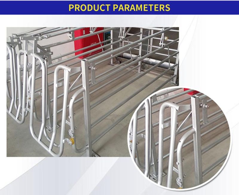 Pig Breeding Equipment Gestation Box/Gestation Pen/Hot-DIP Galvanized Sow Gestation Stall
