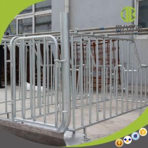 High Quality Custom Equipment Pig Gestation Stall