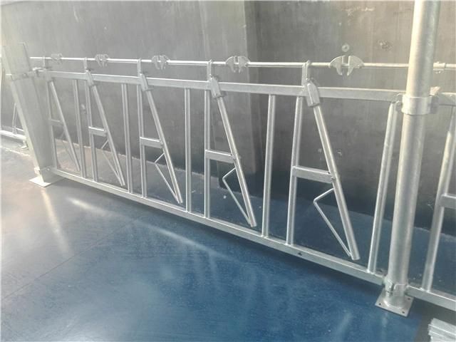 Cattle Headlock, Cattle Barriers, Cattle Fence Panel, Cattle equipment Manufacture