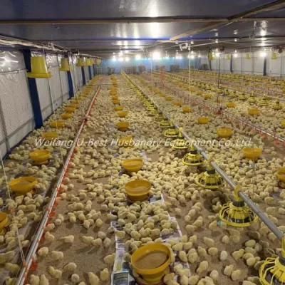 Poultry Farm Design Auger Broiler Feeding Pan System