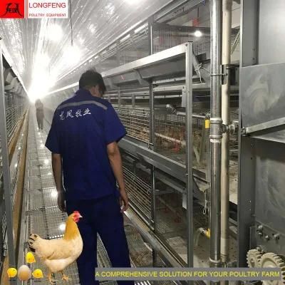 on-Site Installation Instruction Factory Comprehensive Solution Poultry Farm Equipment for Fans and Cooling Pad Automatic