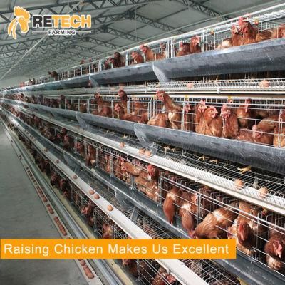 Zanzibar A Type Automatic Layer Chicken Battery Cages for sale