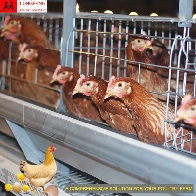Comprehensive Solution for Poultry Farm Farming Equipment Agricultural Machinery Chicken Coop