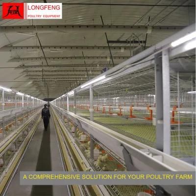 Longfeng Professional Standard Packing 1250*800mm China Broiler Chicken Cage