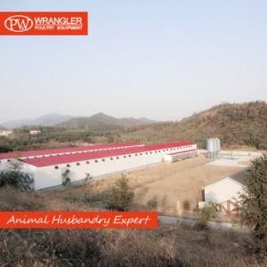 Pw Complete Automatic Chicken Raising Equipment for Poultry Farm