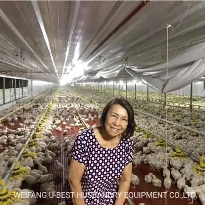 Broiler Floor Raising Chicken Farming Equipment with Automatic Feeding System