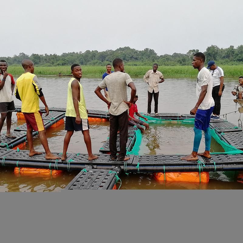 Square Floating Tilapia Catfish Farming Aquaculture Net Cage