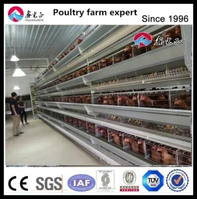 Poultry Farm Use Egg Laying Chicken Cage