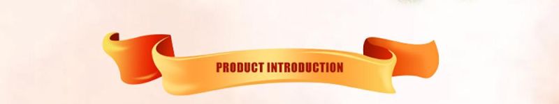 New Design Factory Price High Quality Hot Galvanized Standard Dairy Cow Free Stall for Sale