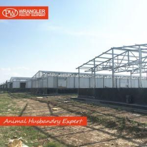 Industrial Prefabricated Light Steel Structure for Poultry House