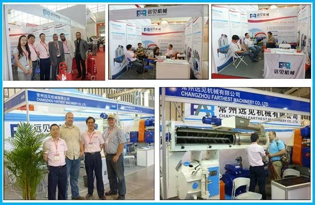 China Brand Chicken Feed Processing Machines Plant