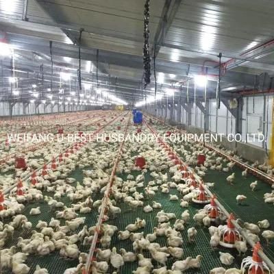 Modern Design Animal Husbandry Chicken House Poultry Farming Equipment