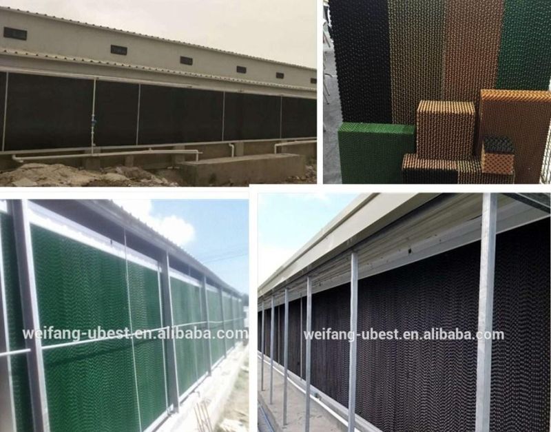 U-Best Prefabricated Poultry Control Chicken House