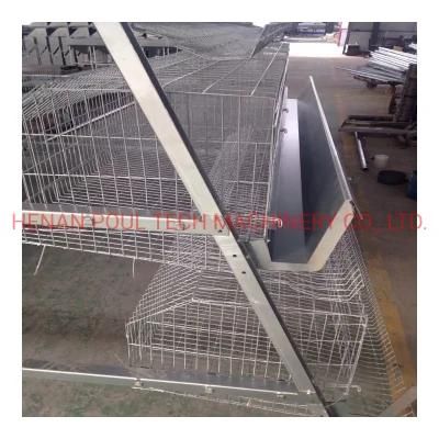 Type a High Temperature and Corrosion Resistant Chicken Cage System