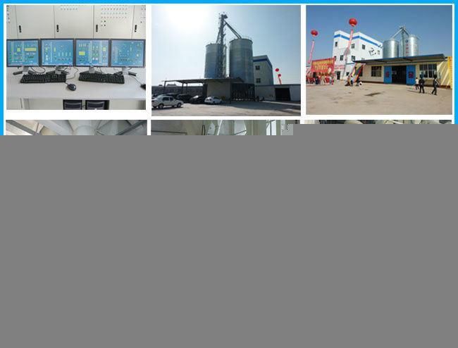 Fish Food Extruder/Floating Feed Pellet Machine for Fish Farming