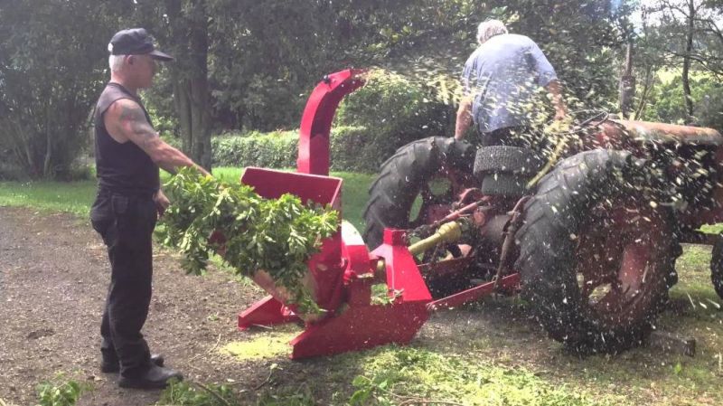 3 Point Hitch Tractor Pto Driven Small Wood Chipper Bx62s for Sale