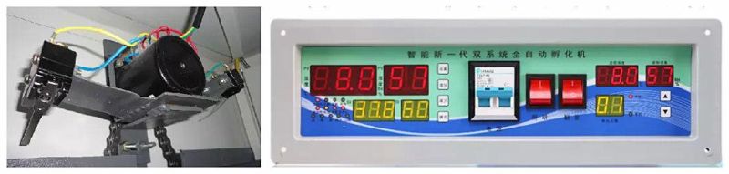 Chicken Incubator Hatching Eggs Solar Energy Poultry Egg Incubator