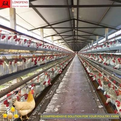 Longfeng on-Site Installation Instruction Manure Belt Removing Chicken Cage Factory