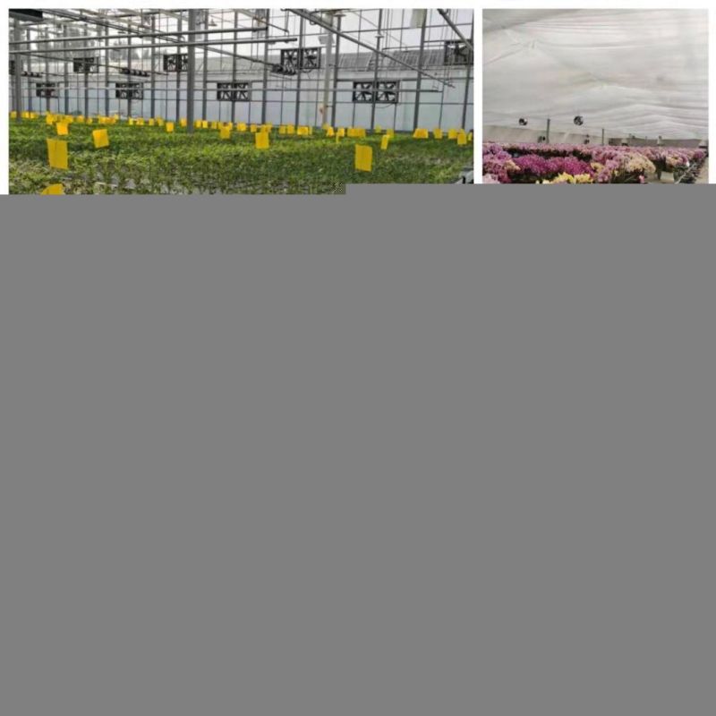 Manufacturer of Hydroponic High Quality Ebb and Flow Vertical Propagation Multiple Tiers Vegetables Fruits Growing Rack