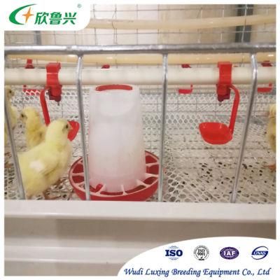 Automatic Chicken Cage Poultry Equipment for Broiler Production