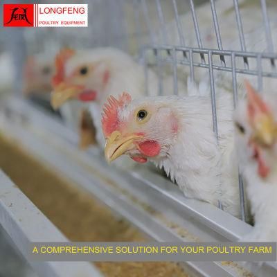 Farming Equipment Longfeng China Layer Battery Poultry Farm Chicken Cage Manufacture 9lcr-3120