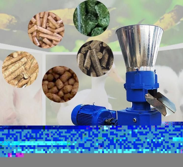 Farm Animal Pet Food Making Extruder Floating Fish Feed Pellet Machine Household Pelletizing Machine Pelitzadora