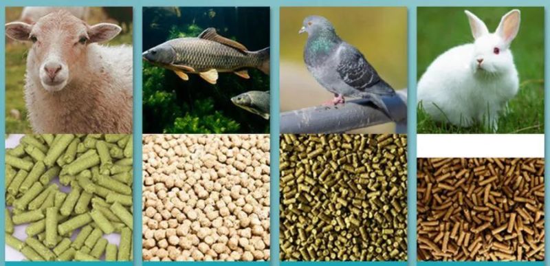 Animal Chicken Feed Pellet Factory Supply Poultry Feed Pellet Mill Pellet Granulator