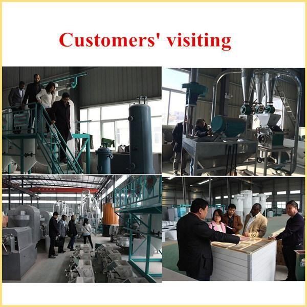 China Widely Used Automatic Vibrating Screen