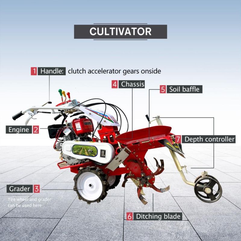 Multi-Functional Agricultural Machinery Mini Type Power Tiller Pastoral for Strawberry